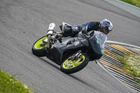 Lower Group Black Bikes